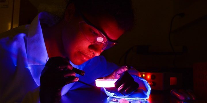 Source: Military Health System, https://health.mil/-/media/Images/MHS/Photos/fluorescent-brain.ashx